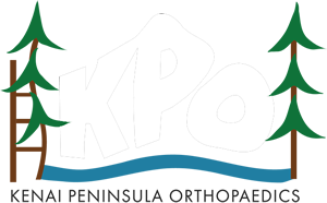 KPO footer logo